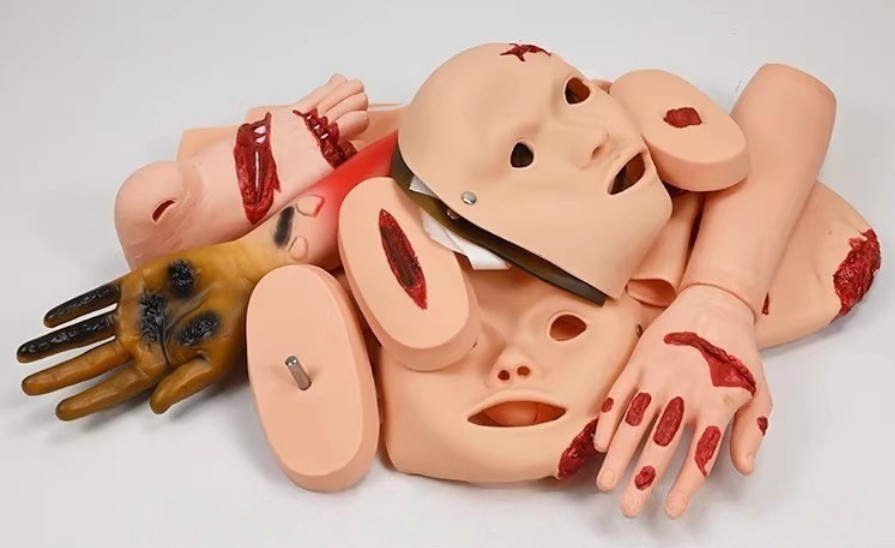 16Pc Trauma Evaluation Module First Aid Simulation Training Model Emergency Care