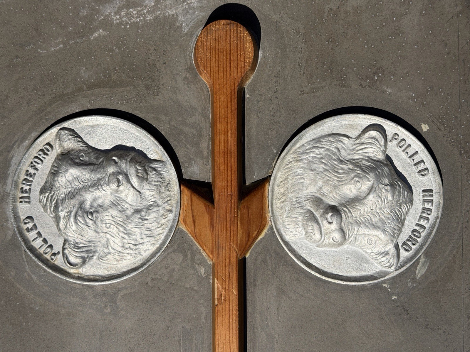 Vintage Industrial Aluminum Foundry Mold Pattern Polled Hereford Cows Sculpture