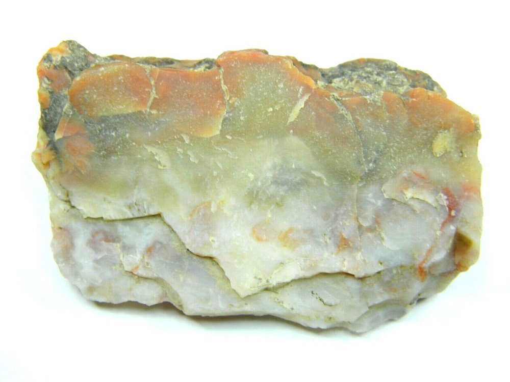 Agatized Dinosaur Coprolite Utah 67.01 grams