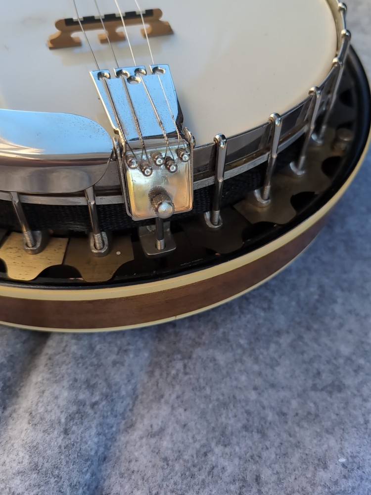 vega banjo 4 string With Case