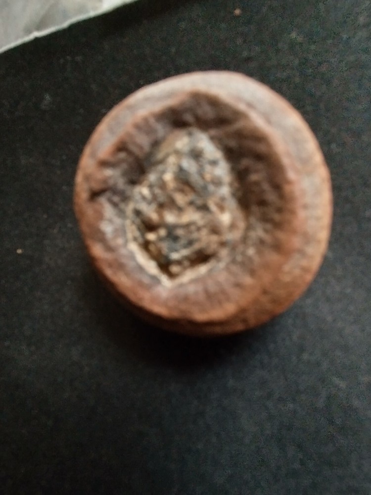 Mazon Creek Fossilized Coprolite