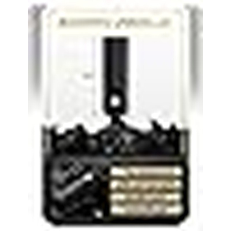 Compact Travel Umbrella Windproof Automatic Open Close Mini Waterproof Durable