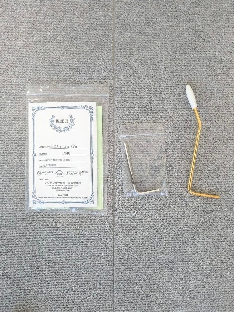 Fujigen Stratocaster