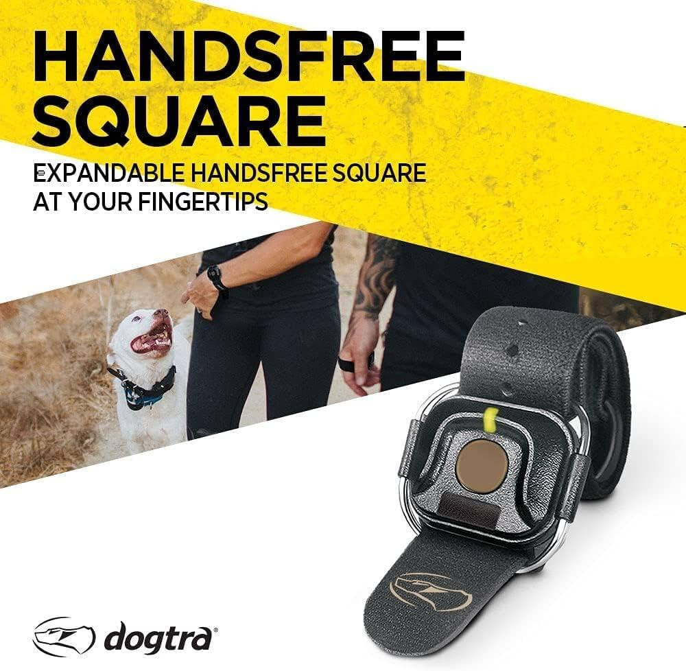 Dogtra 1902X 2 Dog Trainer + HANDSFREE PLUS Square, 3/4 Mile Range, Boost and XP