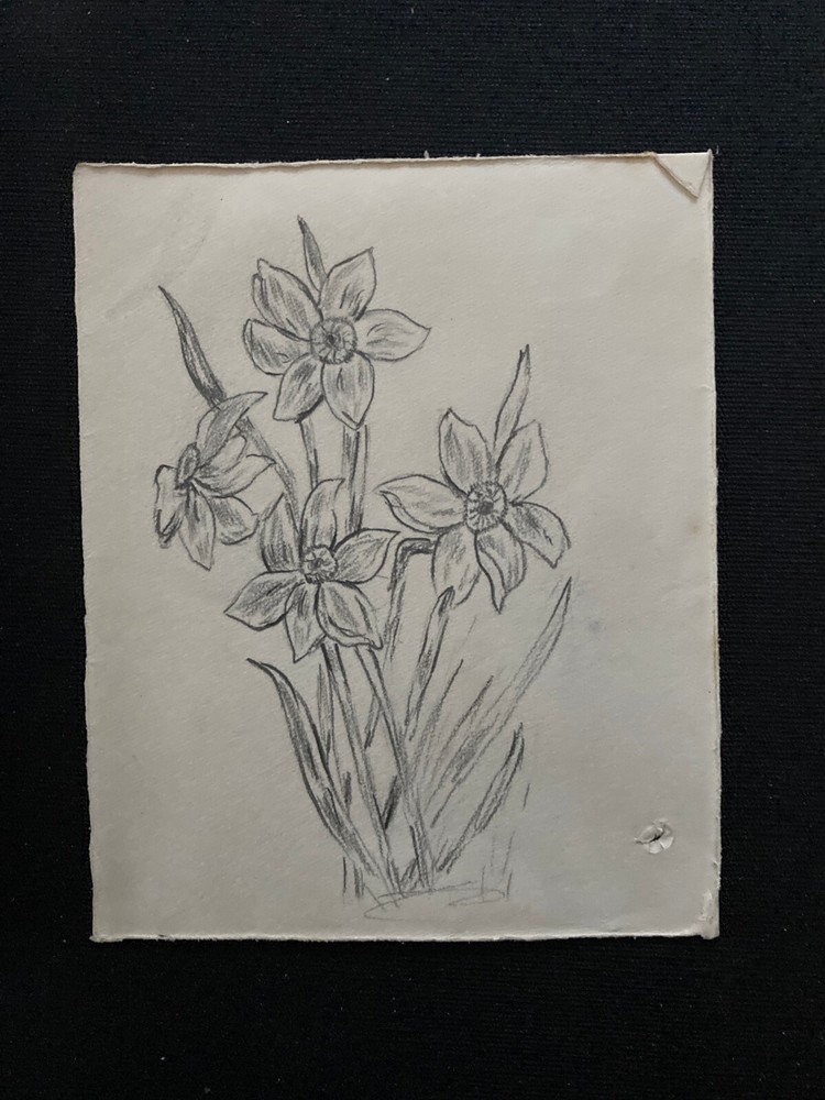 Small Victorian flower sketch