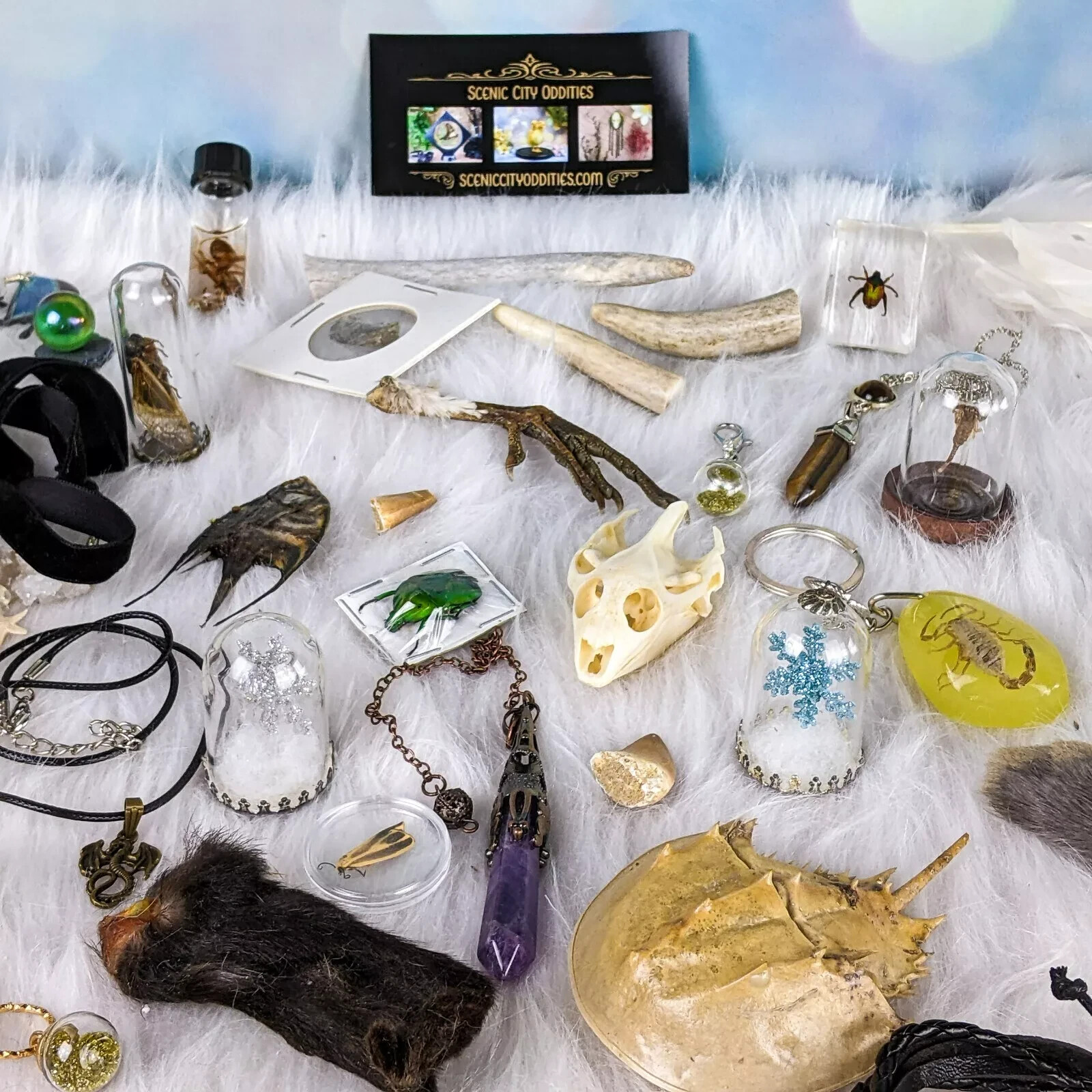 MYSTERY Lot BOX Small Curiosity or Oddity box 4 / 6 item gift surprise package