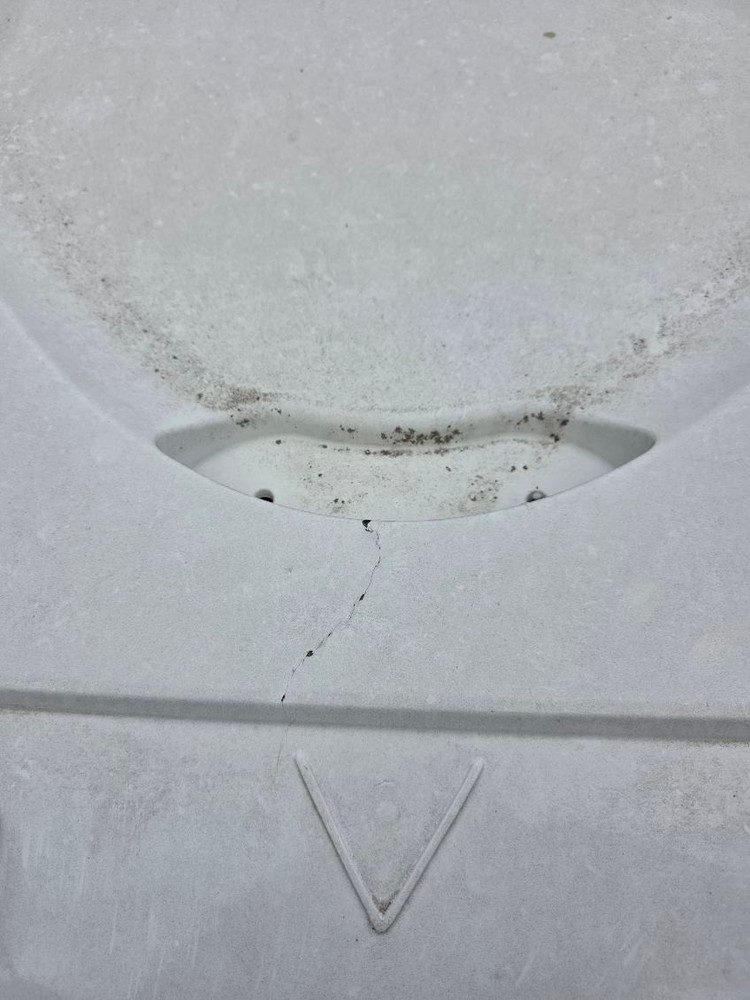 Internation Prostar Hood