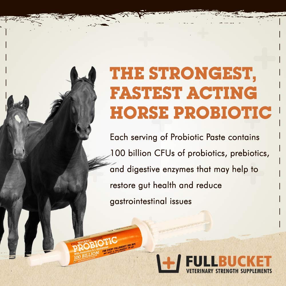 Equine Probiotic Paste 32.5CC