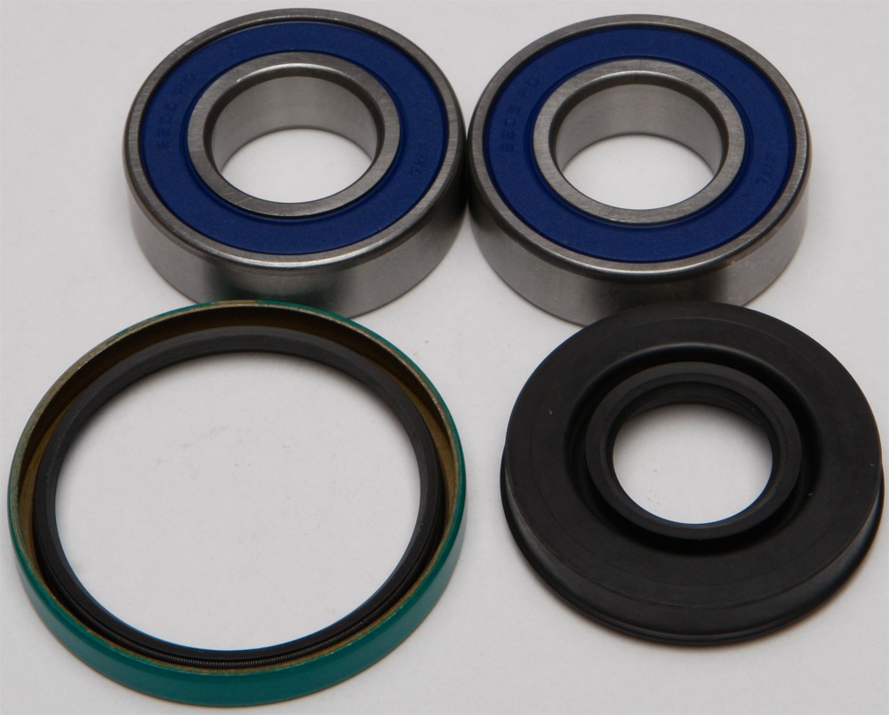 Chain For Case Bearing & Seal Kit