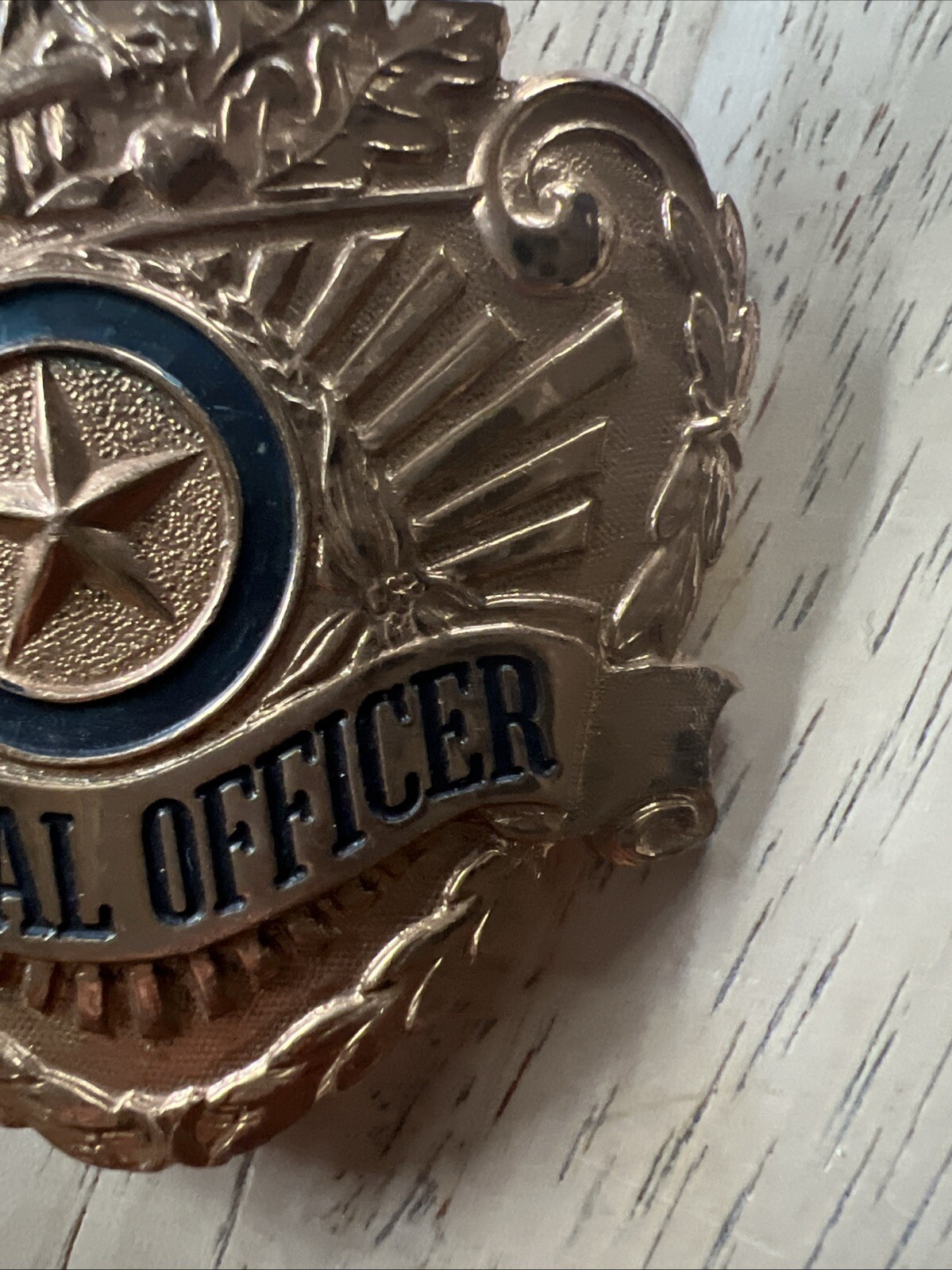 Vintage Double Screwback Special Hat Pin