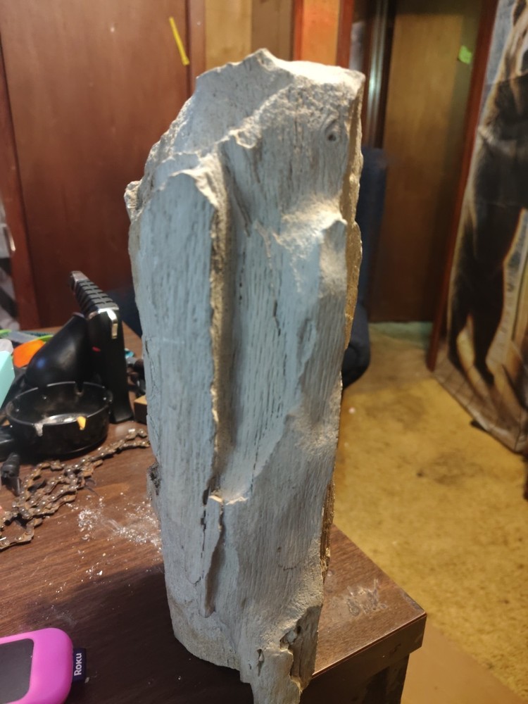 petrified wood