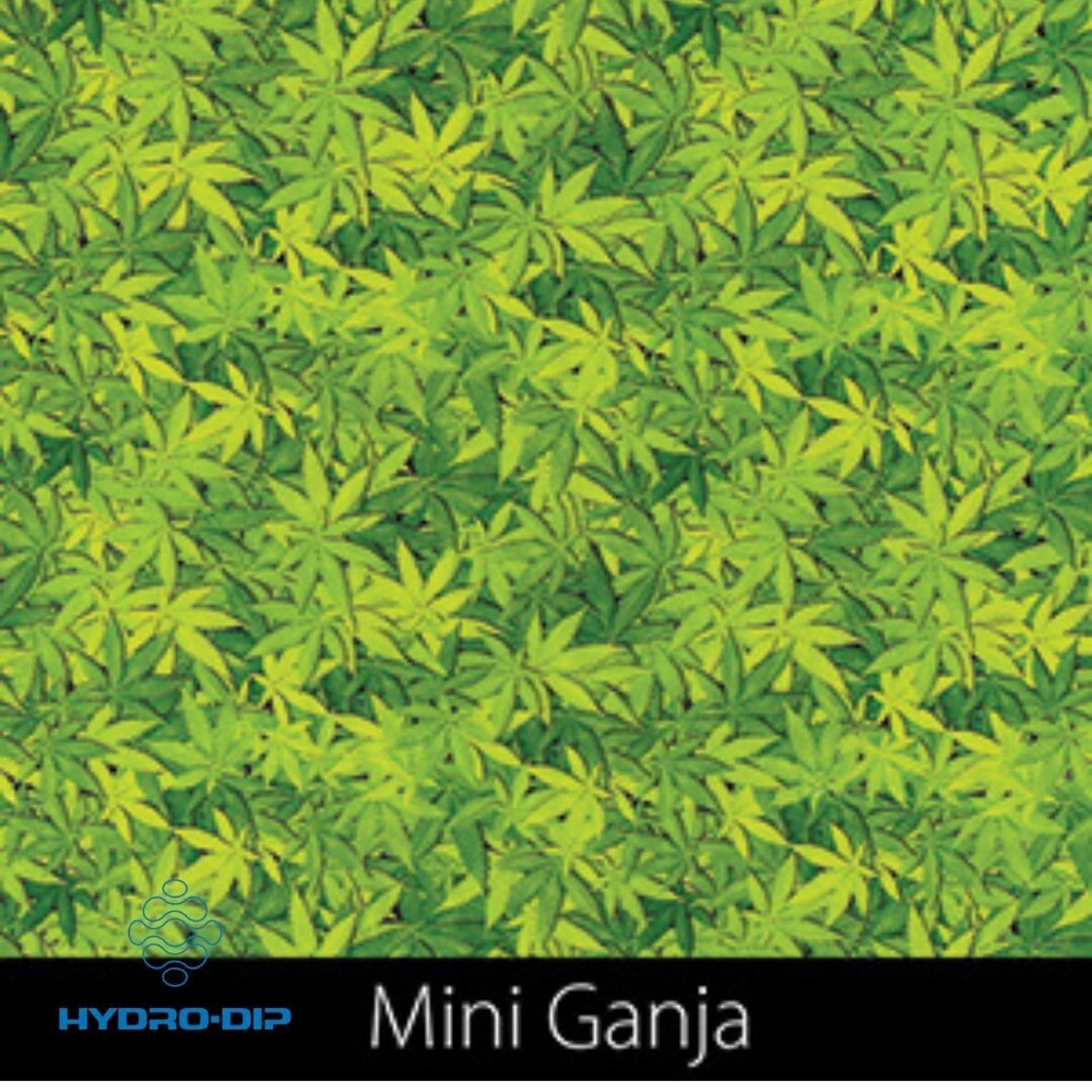 HD-I495 Ganja (50cm)