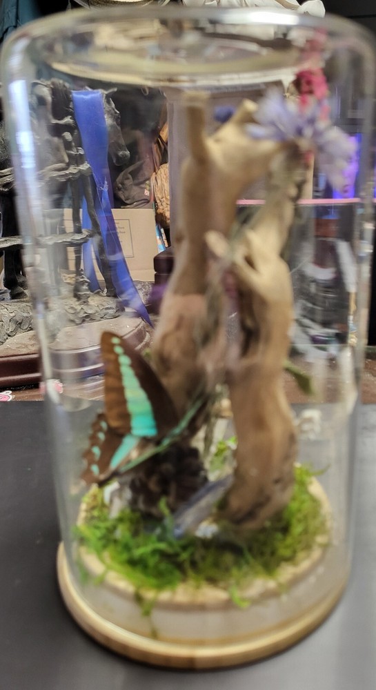 Butterfly/nature globe