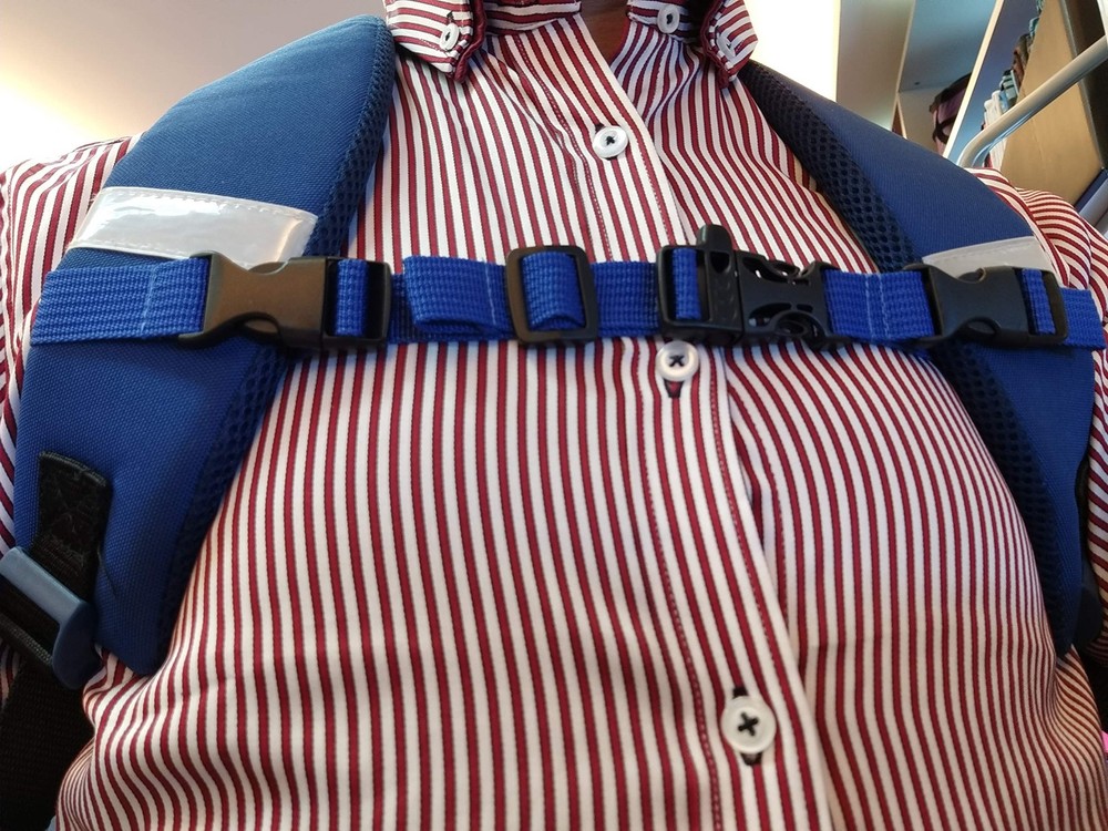 Amlrt Backpack Chest Strap- Nylon - Adjustable Universal backpack, Blue