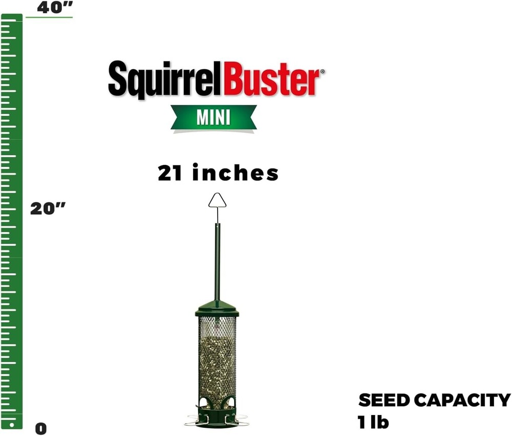 Brome Squirrel Buster Mini Bird Feeder, Squirrel Proof