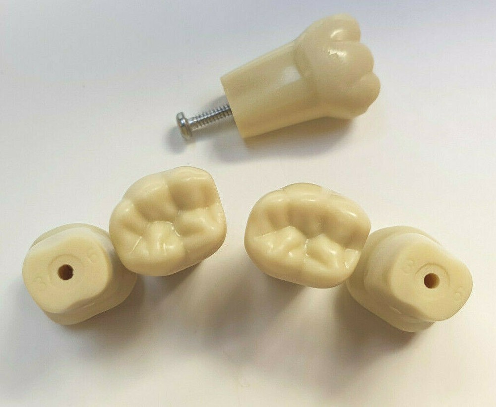 Frasaco type Compatible Replacement AG3-A2 Typodont Practice Teeth. (5 total)