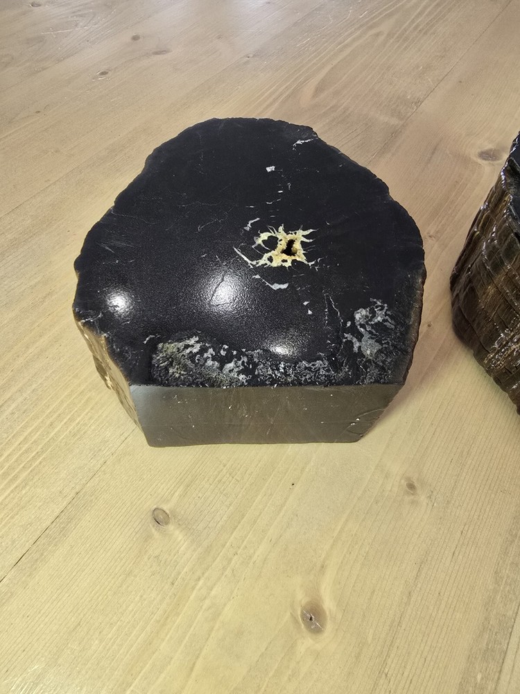 Petrified Wood Book Ends Glossed