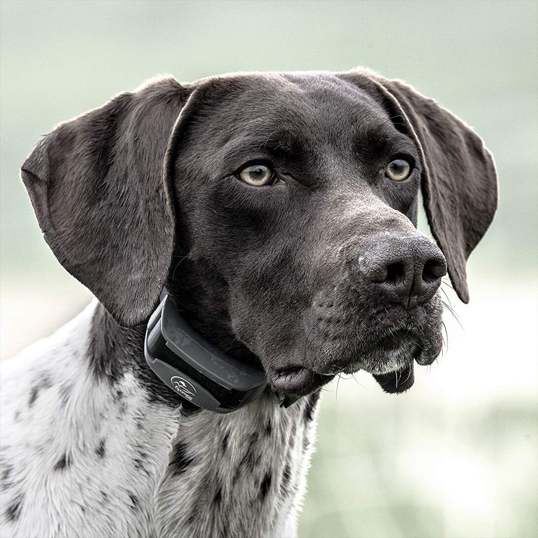 SportDOG SD-825X Remote Dog Training Collar & Transmitter SportHunter 1/2 Mile