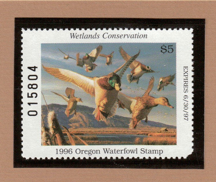 OR13 -  Oregon State Duck Stamp. MNH. OG.