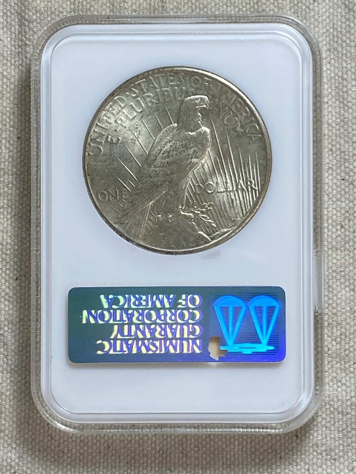 1925 Peace Dollar NGC MS 64 CAC No Barcode Fatty Nearly Full Holo Sticker