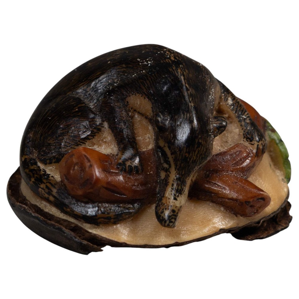 Rainforest Coatimundi Tagua Carving