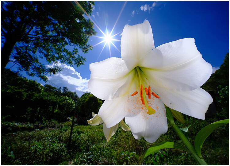 Macro Photography Reflector Cover Soft Light Box Diffuser Cap For Flash Lamp
