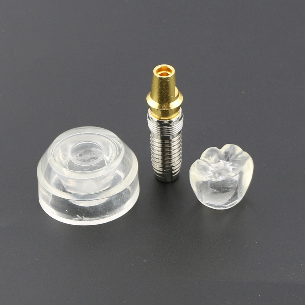 Dental Implant DemonstrationTeeth Study Teach Crown Model Acrylic Teeth Study