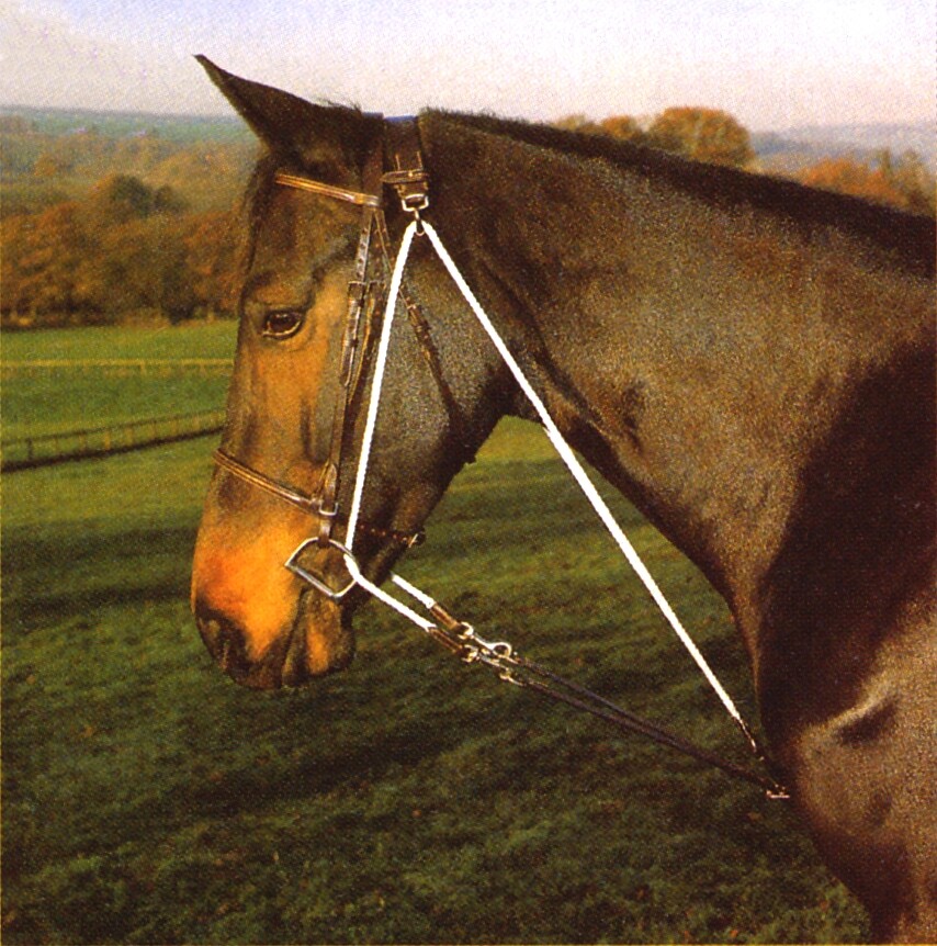 Leather And Rope Gogues