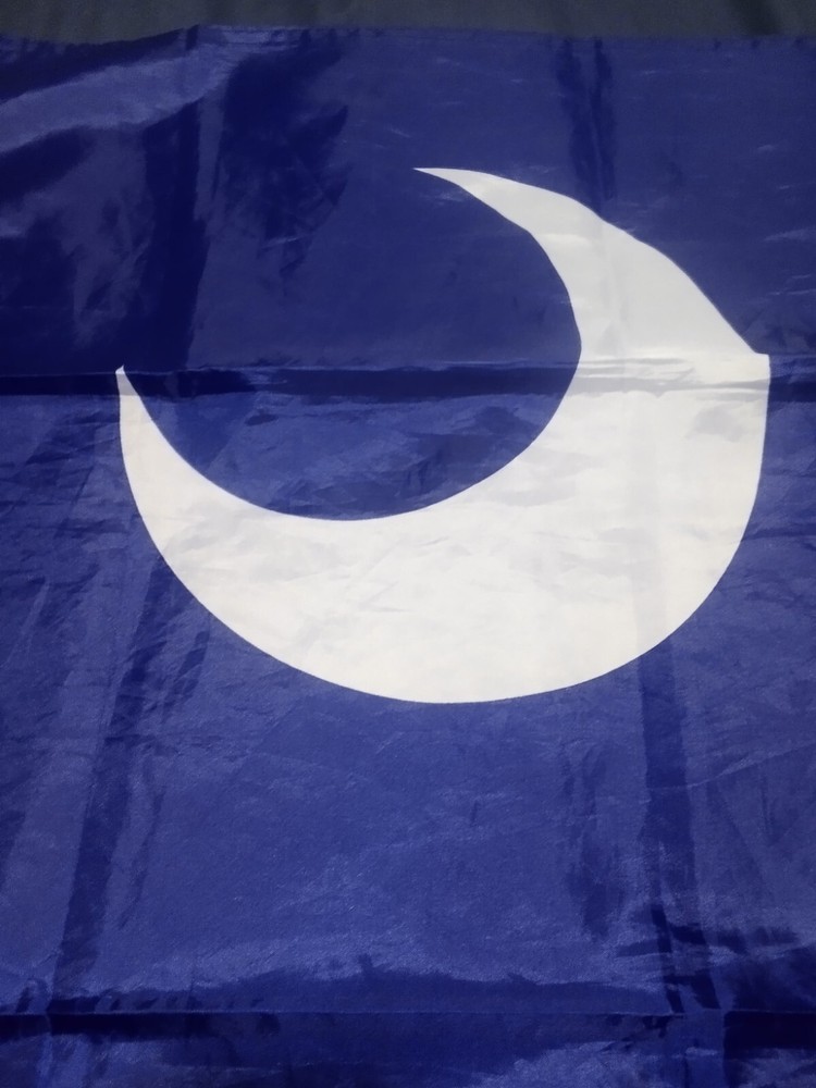 south carolina state flag