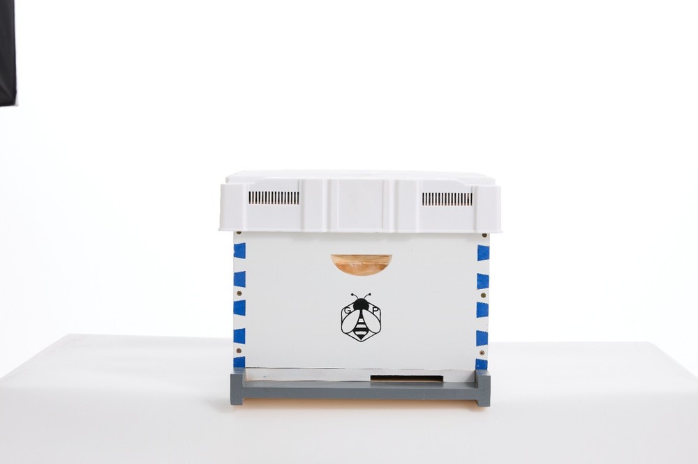 Langstroth Hive Beehive Kit - 20 Frame Box 10 Deep 10 Medium Beekeeping