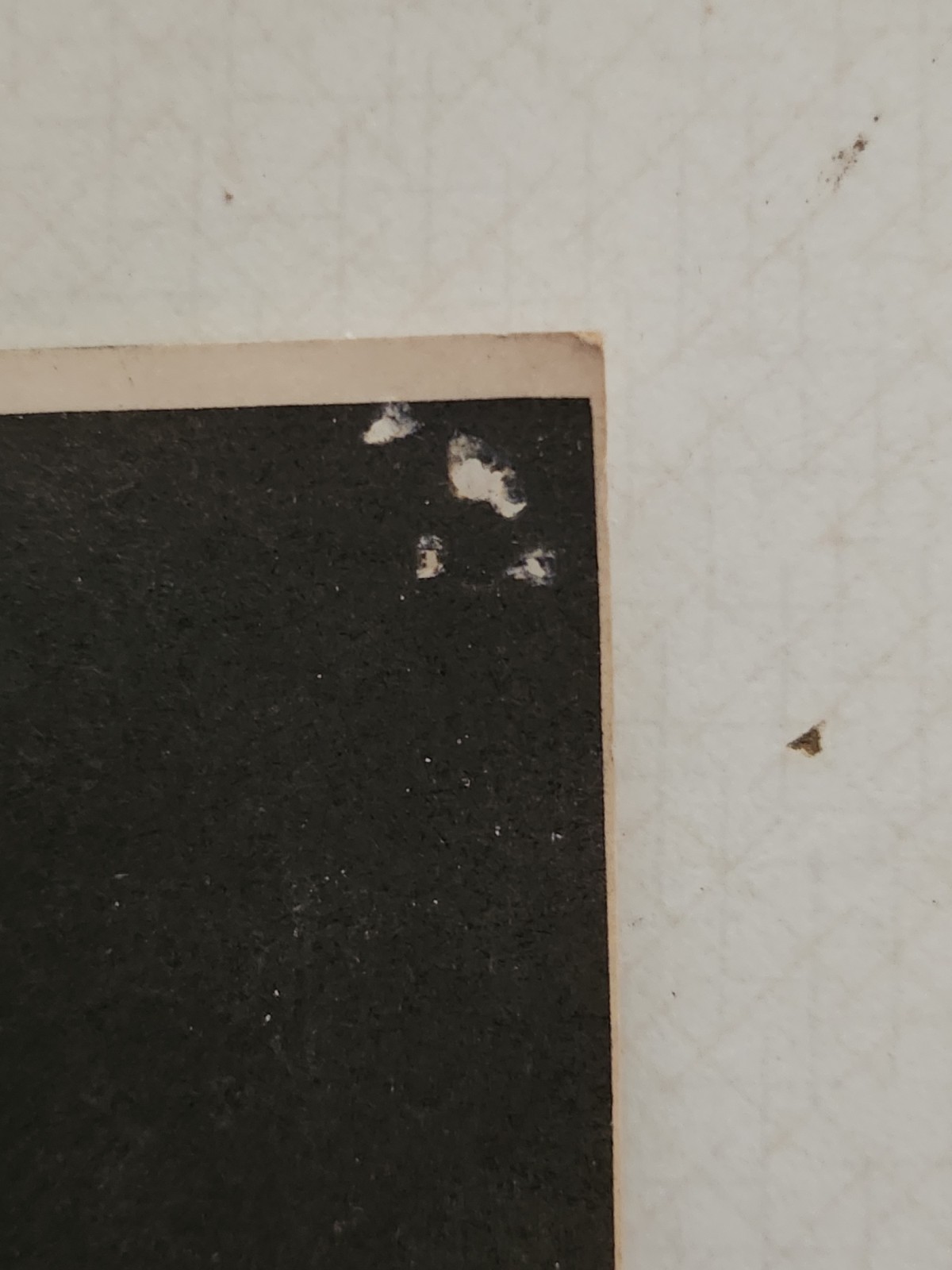 Original Grateful Dead Concert Poster For Family Dog on the Great Highway