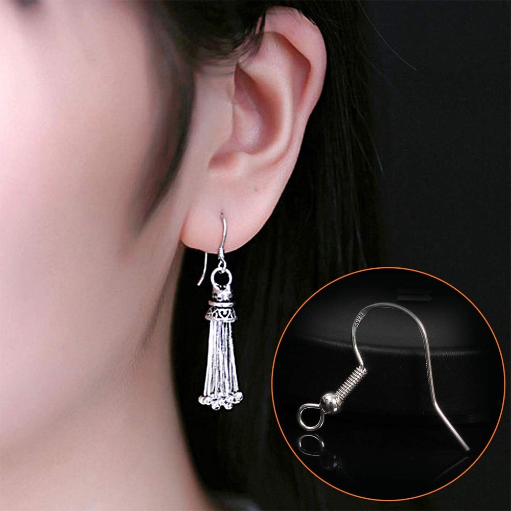 Earring Hooks Kit, 2003Pcs with Fish Hooks, Earring Holder Cards, Backs, Open...