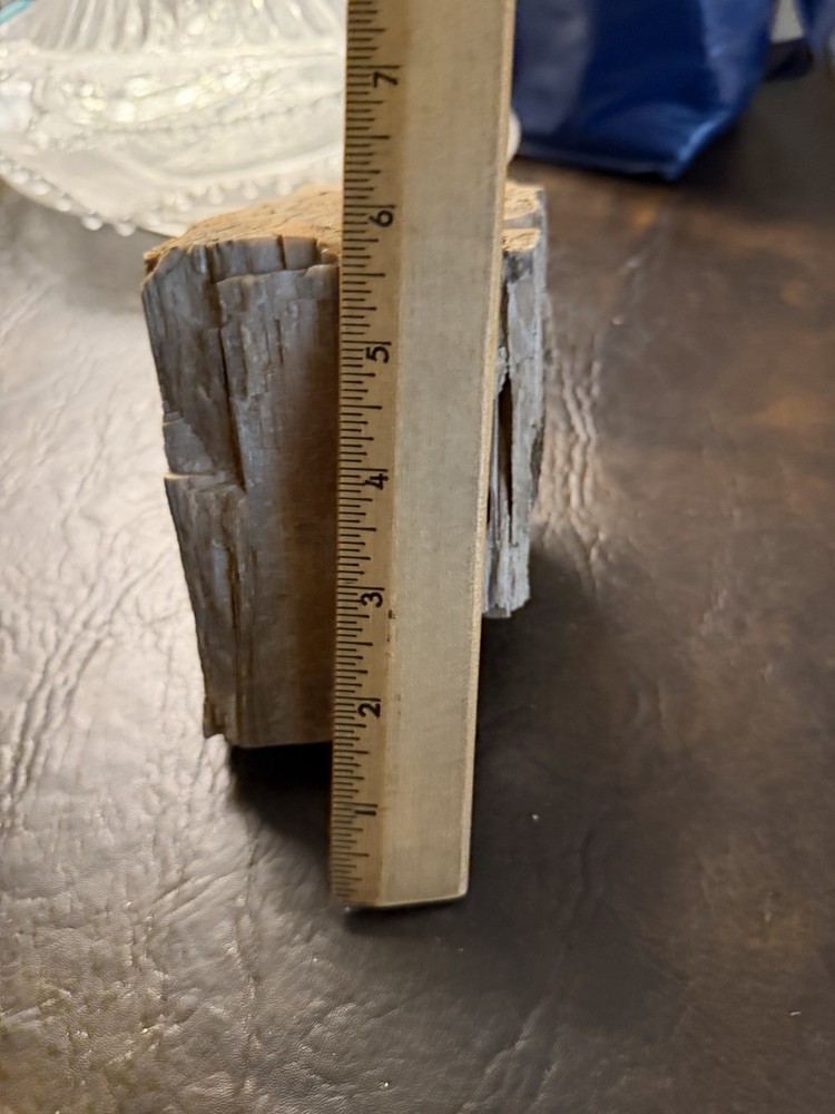 Petrified Wood 5lb
