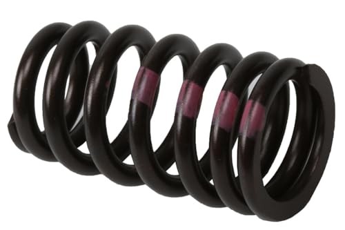 55571551 Engine Valve Spring