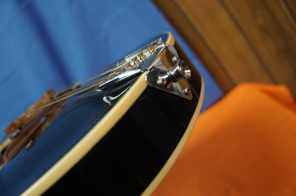 Rogue Mandolin RM0100A Black A-Style