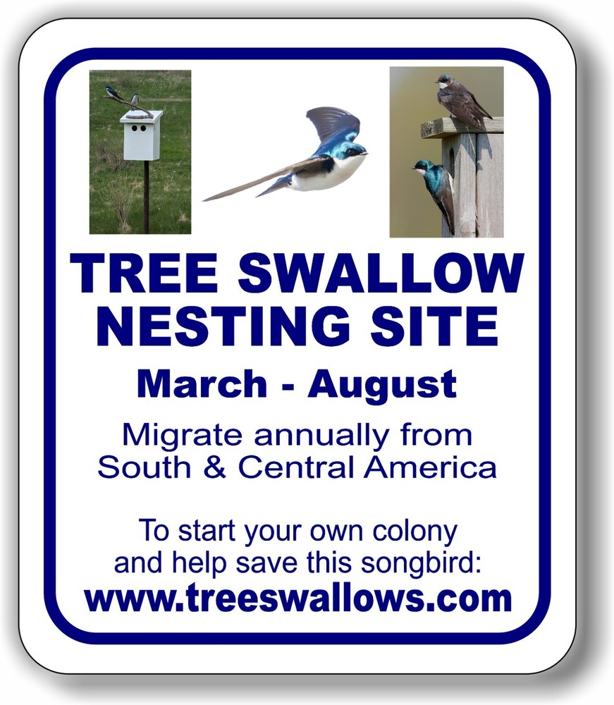 Tree Swallow Nesting Site Custom qcowger Aluminum Composite Sign