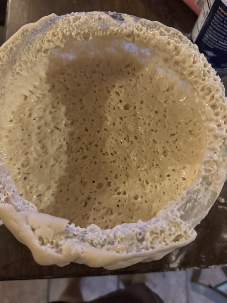 dehydrated sourdough starter