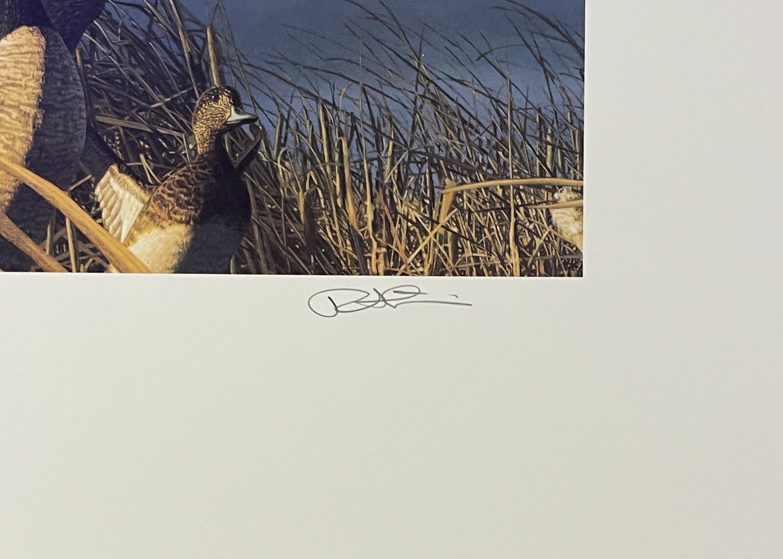 2000 Washington State Duck Stamp Print *ROBERT STEINER* Conservation Ed #86/150
