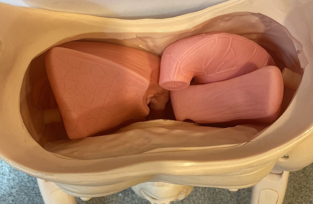 GERIATRIC TRAINING FULL BODY NURSING MANNEQUIN