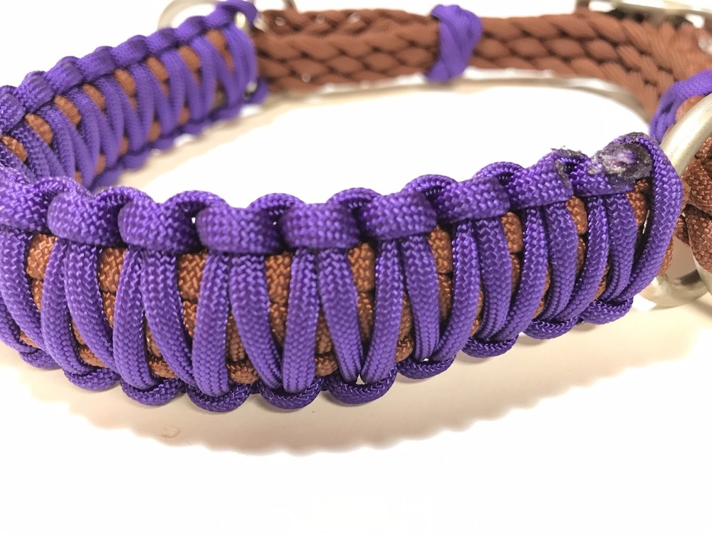 side pull hackamore attachment with a whoa neon purple