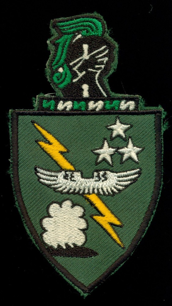 USAF 49th Fighter Interceptor Squadron FIS Patch S-11