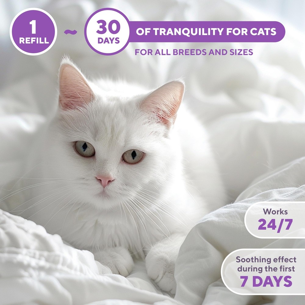 Cat Calming Diffuser with Refill Reduces Anxiety Fights Scratching Urine Marking