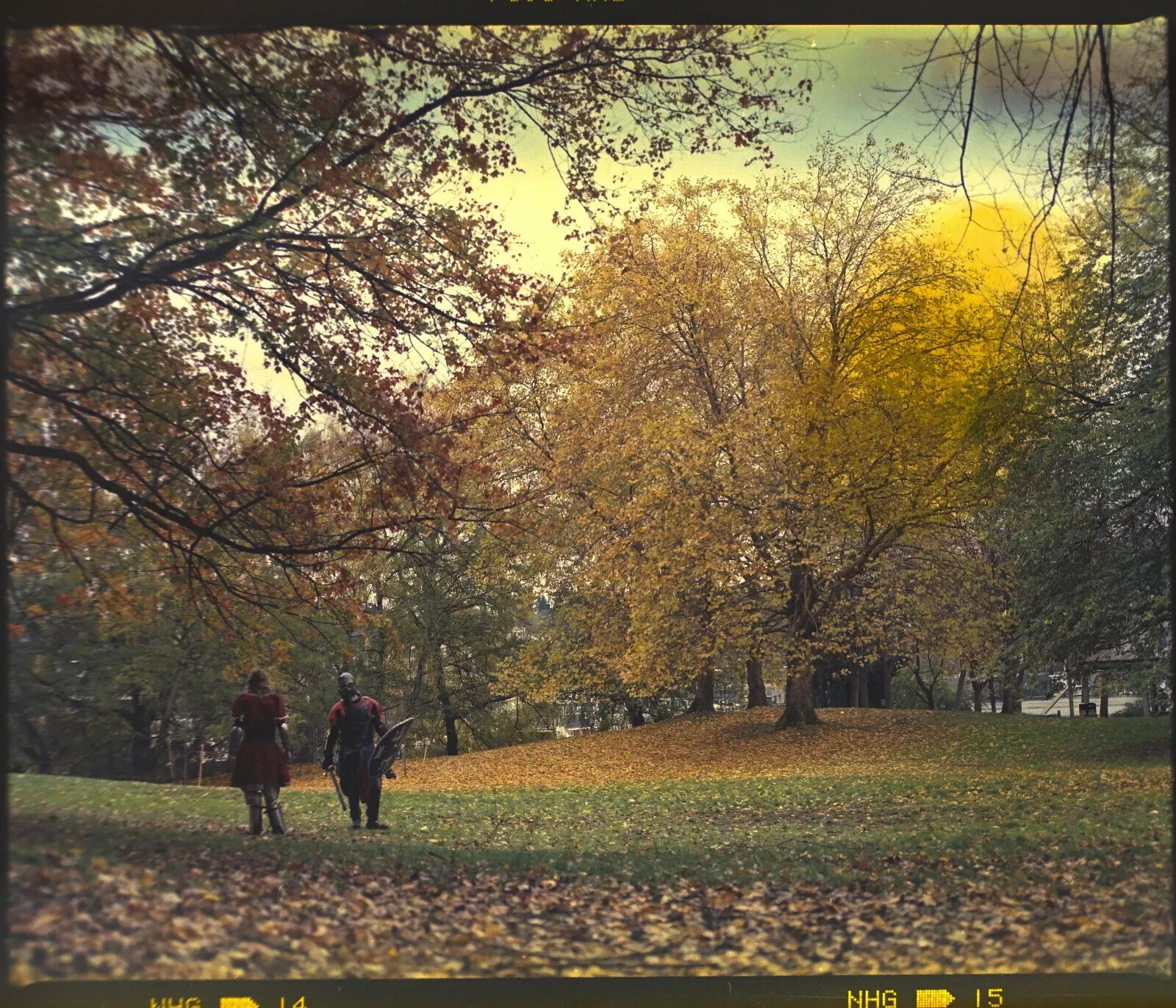 Cumulus Medium Format 120 Film Scanning Digitalize System with DSLR Mirroless V2