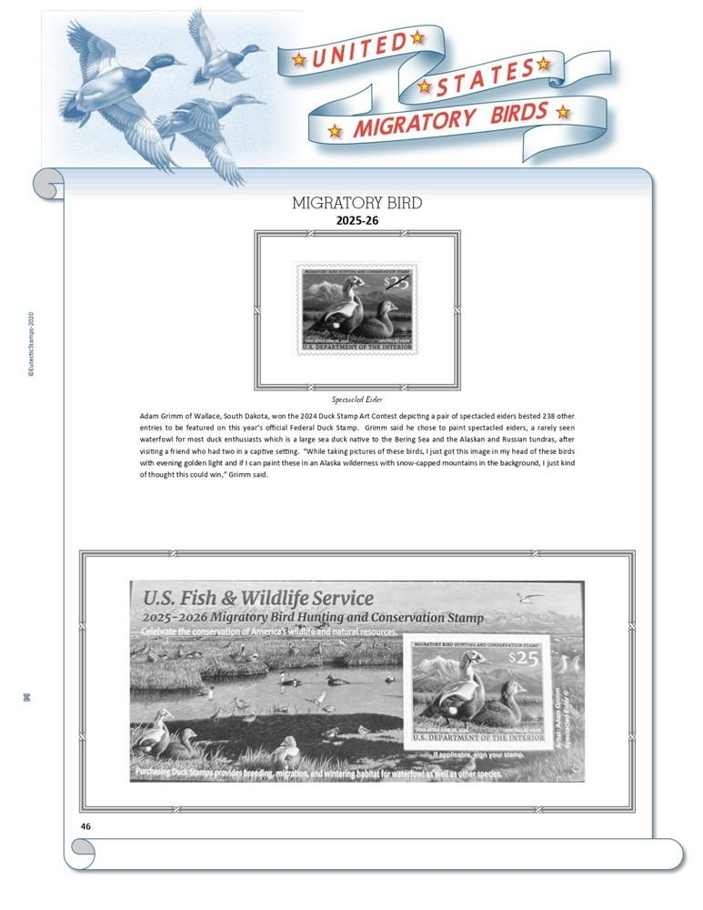 U.S. Federal Duck Stamp Supplement 2025 (NO JR.) (White Ace Alternative)