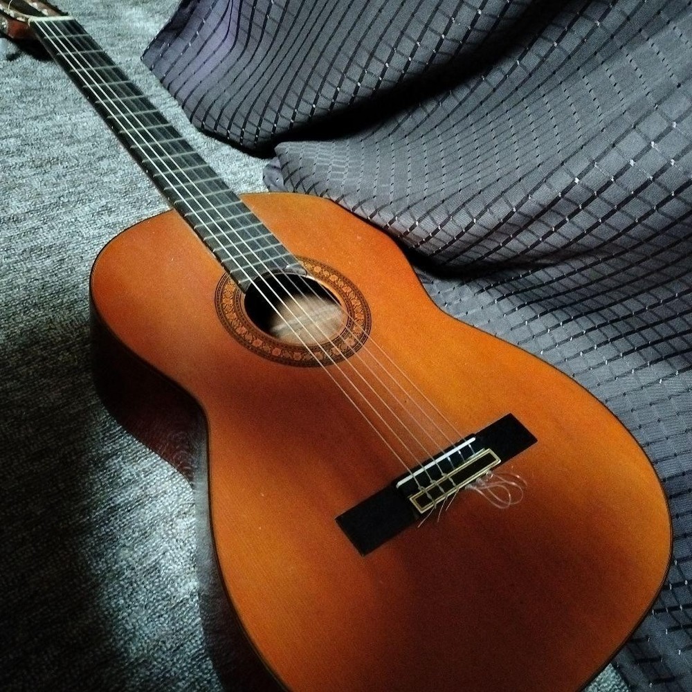 Fernandes Classical Guitar Model No. Brown Used