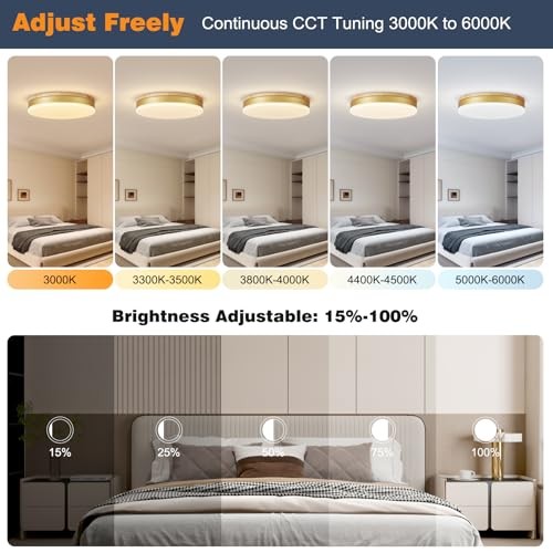 Modern Dimmable Ceiling Light with Remote, 11.8in Flush Mount Ceiling Gold