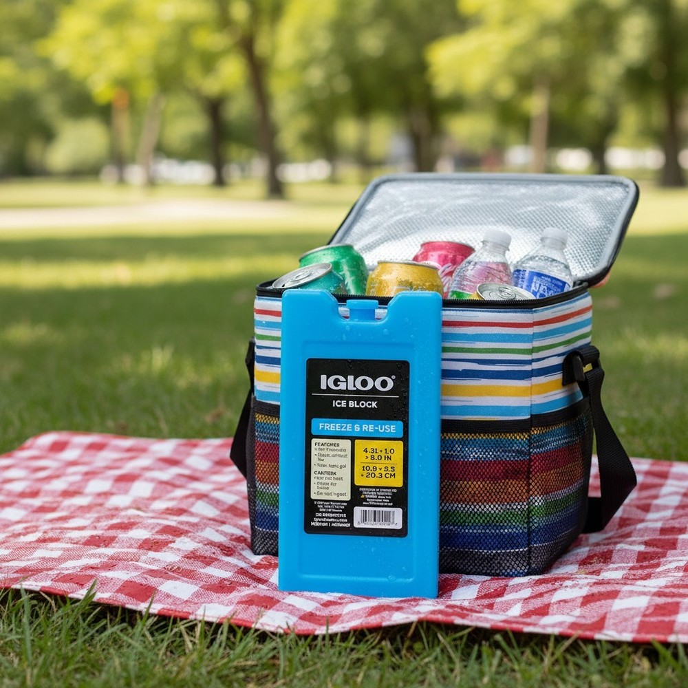 Igloo Medium Ice Block Duo - Compact, Leak-Proof Solution for Outdoor Fun