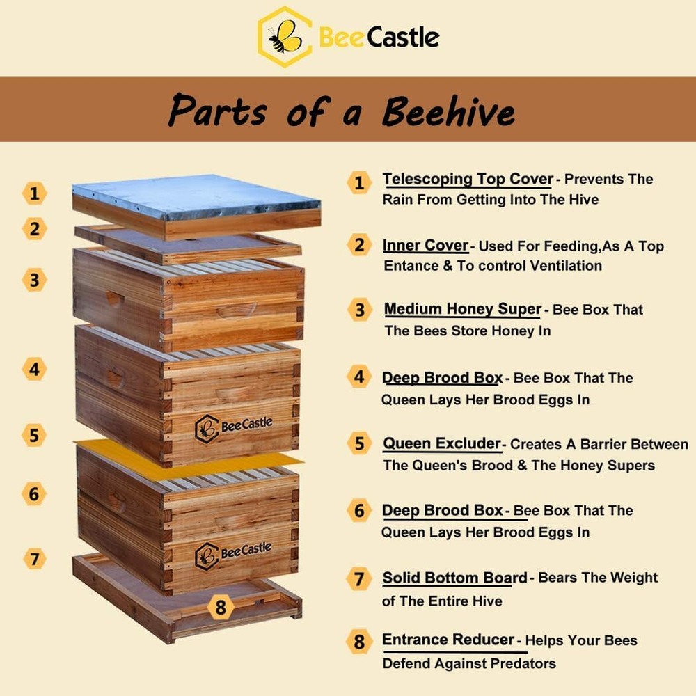 8-Frame Beeswax Coated Langstroth BeeHive Kit (2 Deep Boxes and 1 Medium Box)