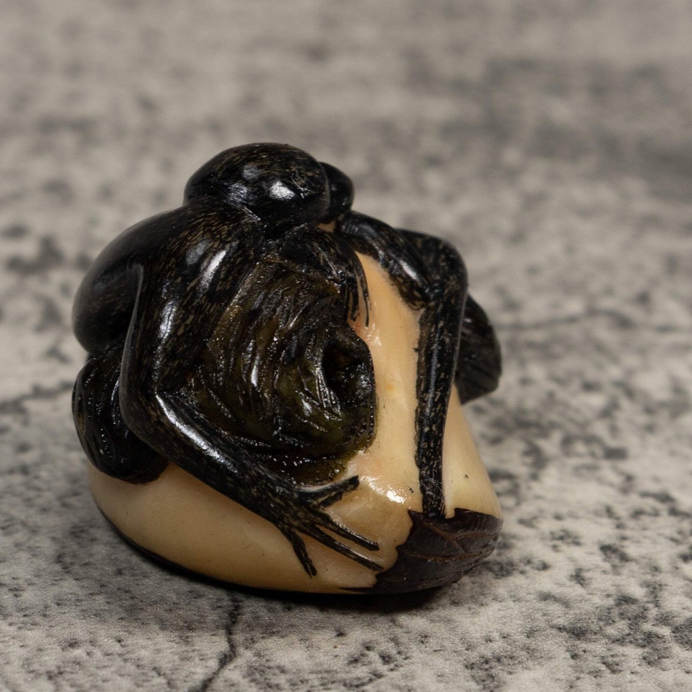 Black Howler Monkey Tagua Carving
