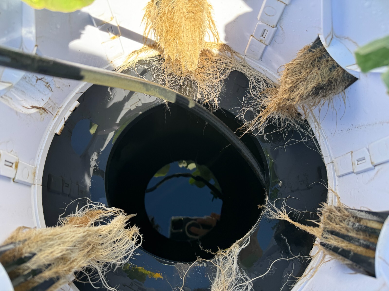 hydroponic vertical tower growing system-2025